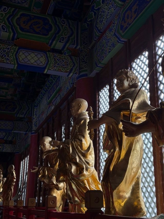 Dali Buddha Bliss🧘‍♂️