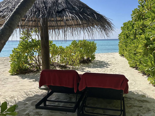 🌴 NH Collection Maldives Havodda Resort — Hidden Luxury in the Indian Ocean