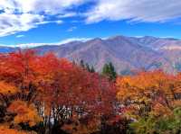 あの花の聖地🌼秩父で紅葉満喫