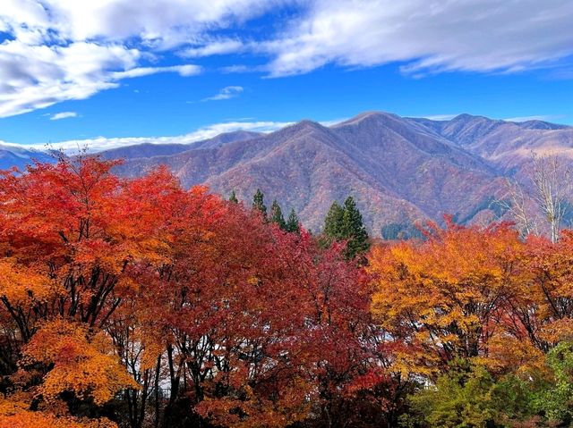 あの花の聖地🌼秩父で紅葉満喫