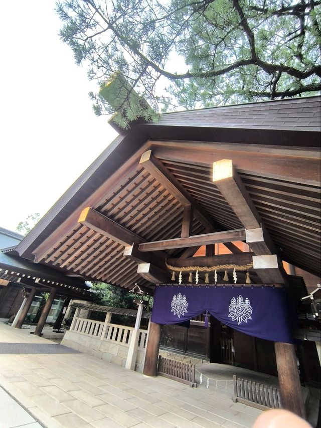 Peaceful Shrine Walk🌞