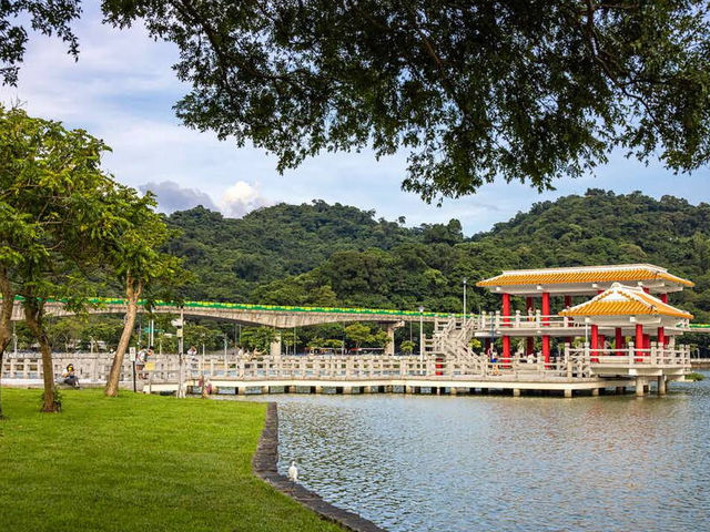 🌸🦆 Tranquil Reflections at Dahu Park 🌿🌊
