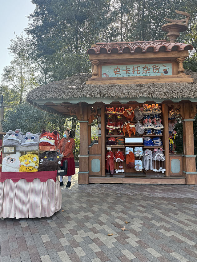 Shanghai Disneyland in December