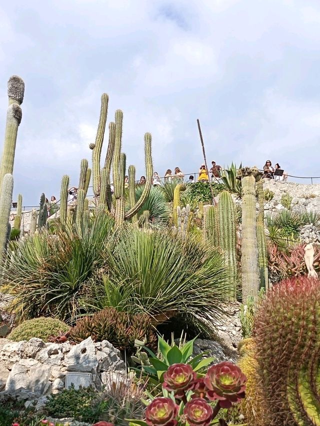 Eze is a hidden gem in French Riviera