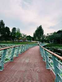 Tranquil Evenings at Taman Tasik Cyberjaya