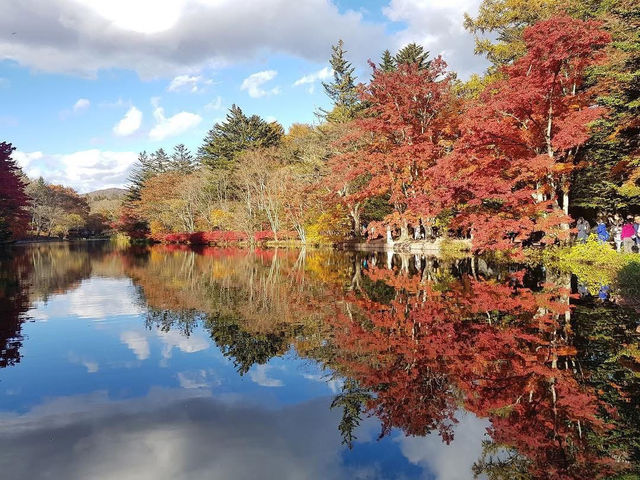 🍁ฤดูใบไม้เปลี่ยนสีที่ Karuizawa-machi 🍁ฤดูใบไม้เปลี่ยนสีที่ Karuizawa-machi