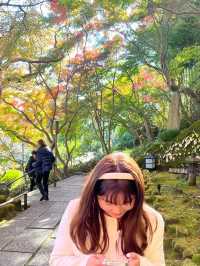 🍁✨ รีวิว: ชมฤดูใบไม้เปลี่ยนสีในคามากุระ (Kamakura