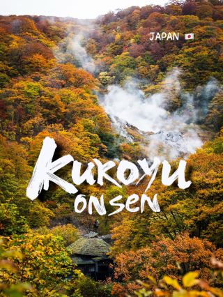 포레스트 온천: 계곡의 아침 증기