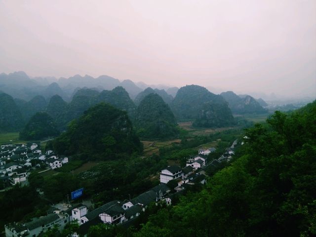 The Majestic Wanfenglin