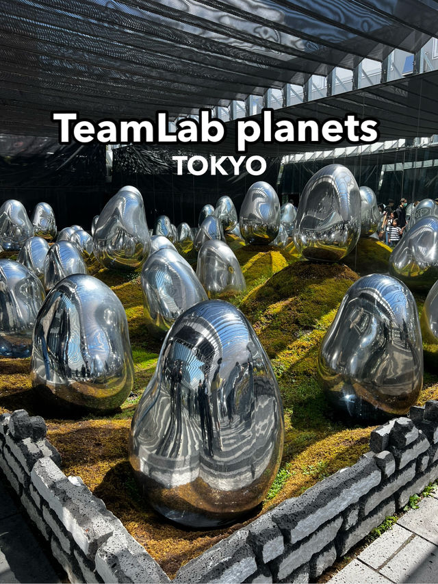 TeamLab planets TOKYO ✨ TeamLab planets TOKYO ✨