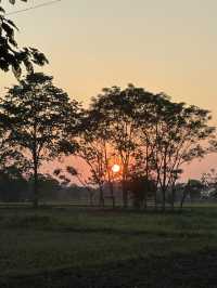 ネパールのチトワン