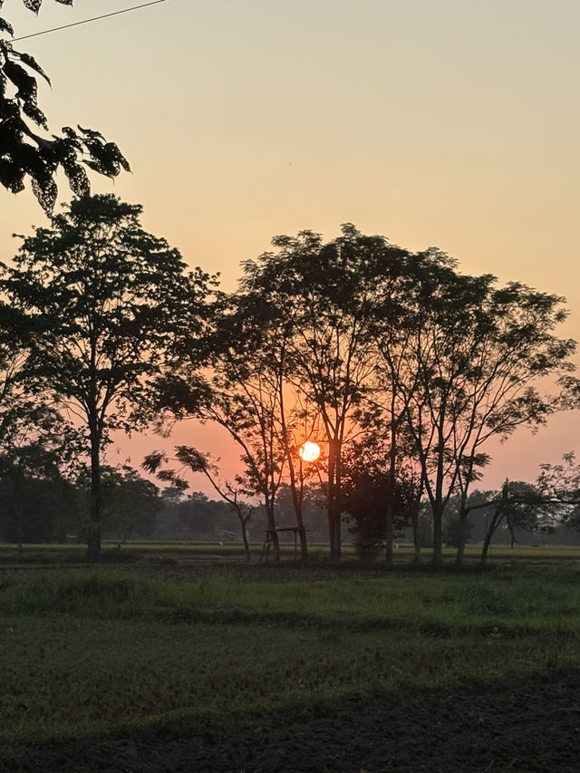 ネパールのチトワン ネパールのチトワン