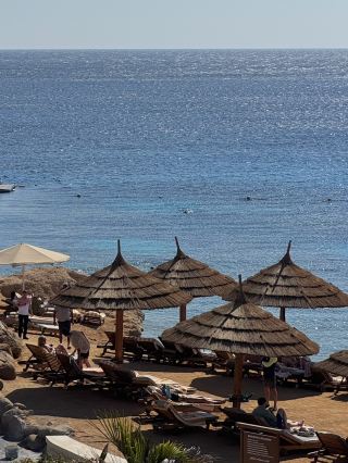 🏨埃及飯店推薦：雙城之旅🌴