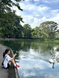 싱가포르 여행일정 공유 - DAY2 🇸🇬