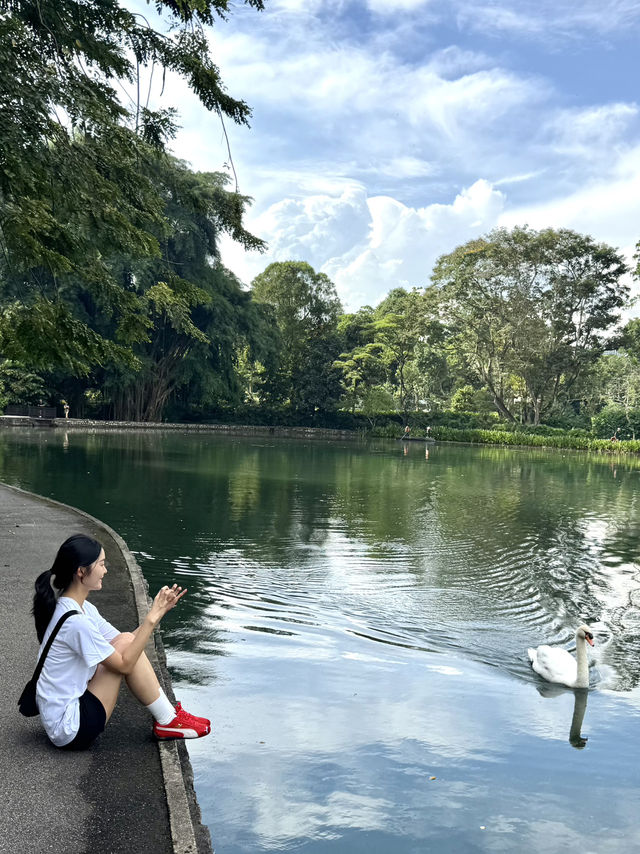 싱가포르 여행일정 공유 - DAY2 🇸🇬