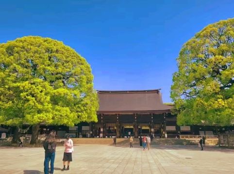 A Peaceful Escape in the Heart of Tokyo — Meiji Jingu Shrine