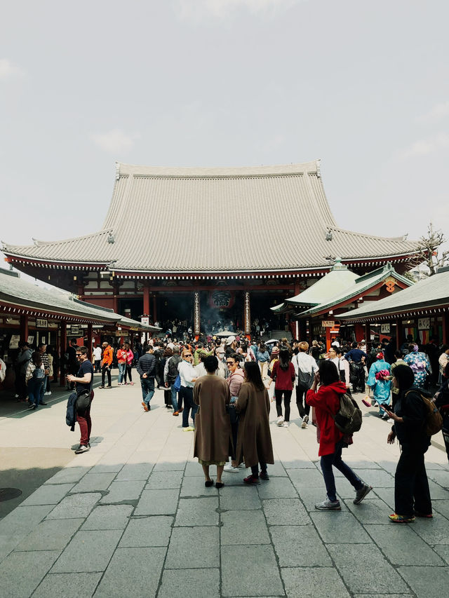  🌸 Sakura Dreams in Tokyo: A Springtime Escape 🌸