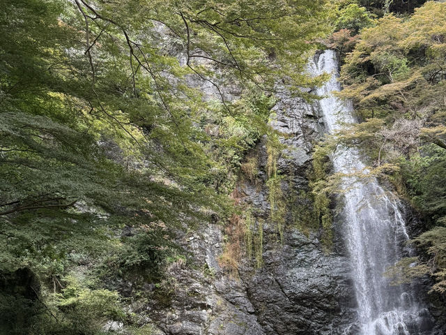 🌸大阪3日間の小旅行🌸