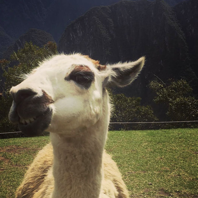 Historic Sanctuary of Machu Picchu Santuario Histórico de Ma