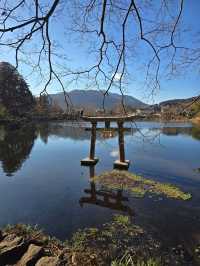 Fukuoka 7 วัน Feburary 2025 ขากลับแวะโฉบเซี่ยงไฮ้