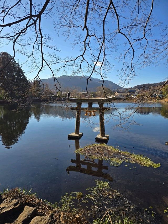 Fukuoka 7 วัน Feburary 2025 ขากลับแวะโฉบเซี่ยงไฮ้