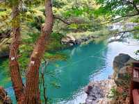 민물과 바다가 만나는 곳! 📍쇠소깍