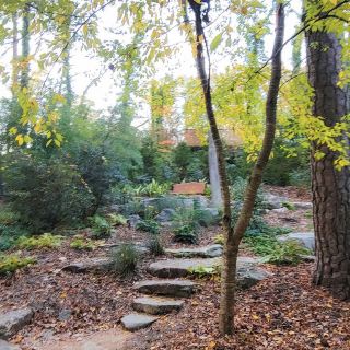 Sarah P. Duke Gardens