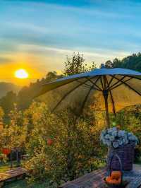 ผาปู่จอม แม่แตง เเชียงใหม