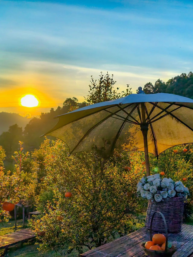 ผาปู่จอม แม่แตง เเชียงใหม ผาปู่จอม แม่แตง เเชียงใหม