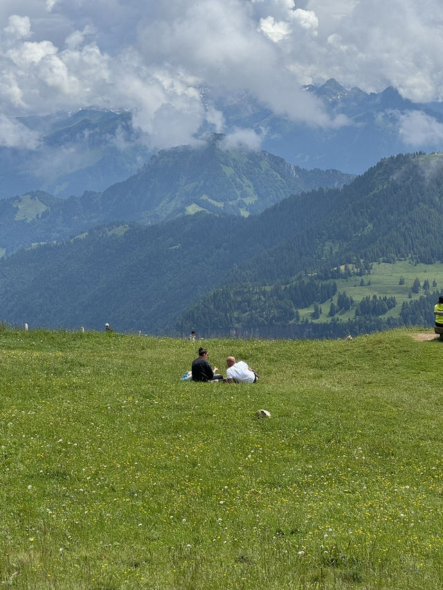 자연하면.. 스위스 그리고 뉴질랜드 자연하면.. 스위스 그리고 뉴질랜드