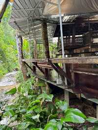 Ted du coffee @แม่กำปอง