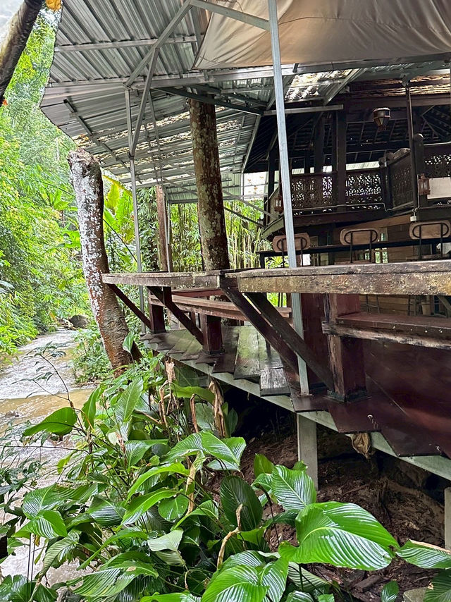 Ted du coffee @แม่กำปอง Ted du coffee @แม่กำปอง