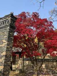 Fall for Korean Folk Village 🍂🎭