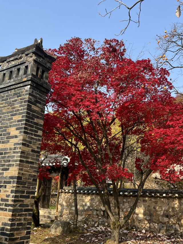 Fall for Korean Folk Village 🍂🎭