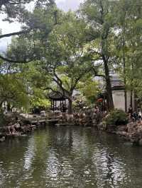 Shanghai Gardens🍁