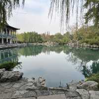 🐟 A Peaceful Local Park Beside the City Center