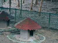 A Serene Escape: Discovering Swan Lake in Putrajaya