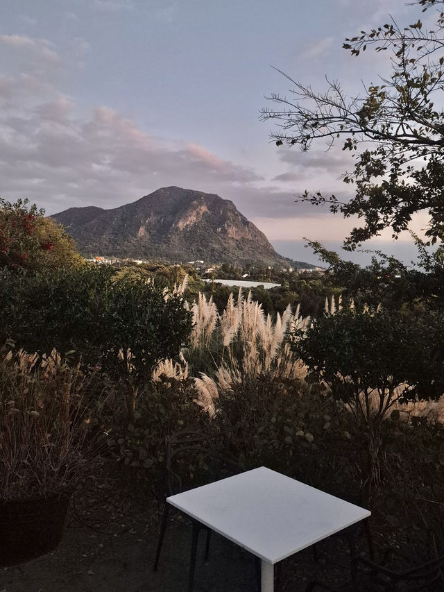 🌅 제주 2박 3일 여행 일정 가이드 🏝️