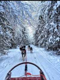 Stepping Into the Real-Life North Pole: Rovaniemi’s Christmas Magic ✨🎅❄️