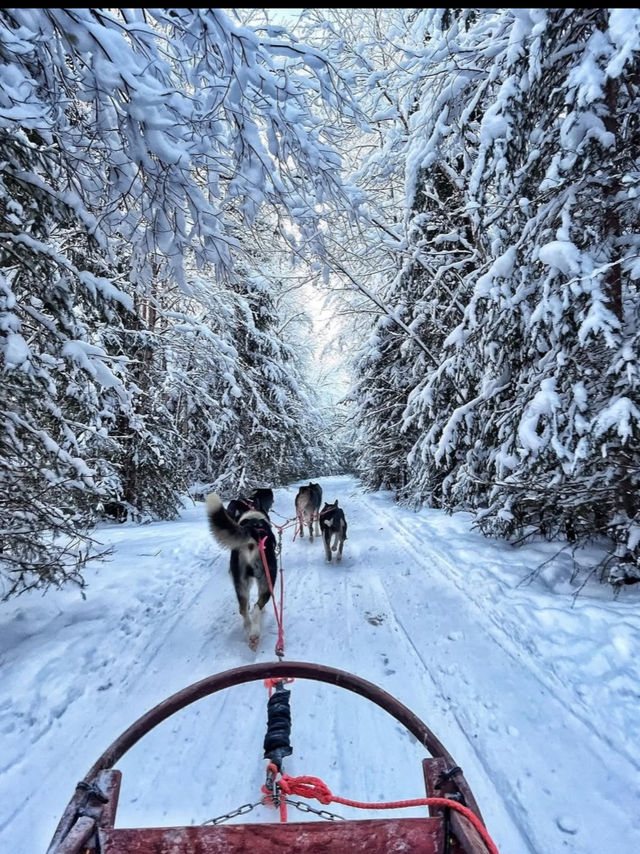 Stepping Into the Real-Life North Pole: Rovaniemi’s Christmas Magic ✨🎅❄️ Stepping Into the Real-Life North Pole: Rovaniemi’s Christmas Magic ✨🎅❄️