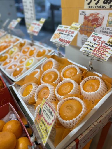 愛媛名産🍊新鮮なオレンジジュースが味わえる | Trip.com 松山