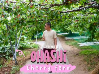 รีวิวการเก็บเชอร์รี่ที่ฮอกไกโด  🍒