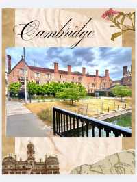 ✨️One Day Trip Cambridge✨️