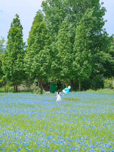 もうすぐ広がる地上の青い海。 | Trip.com 礼山郡
