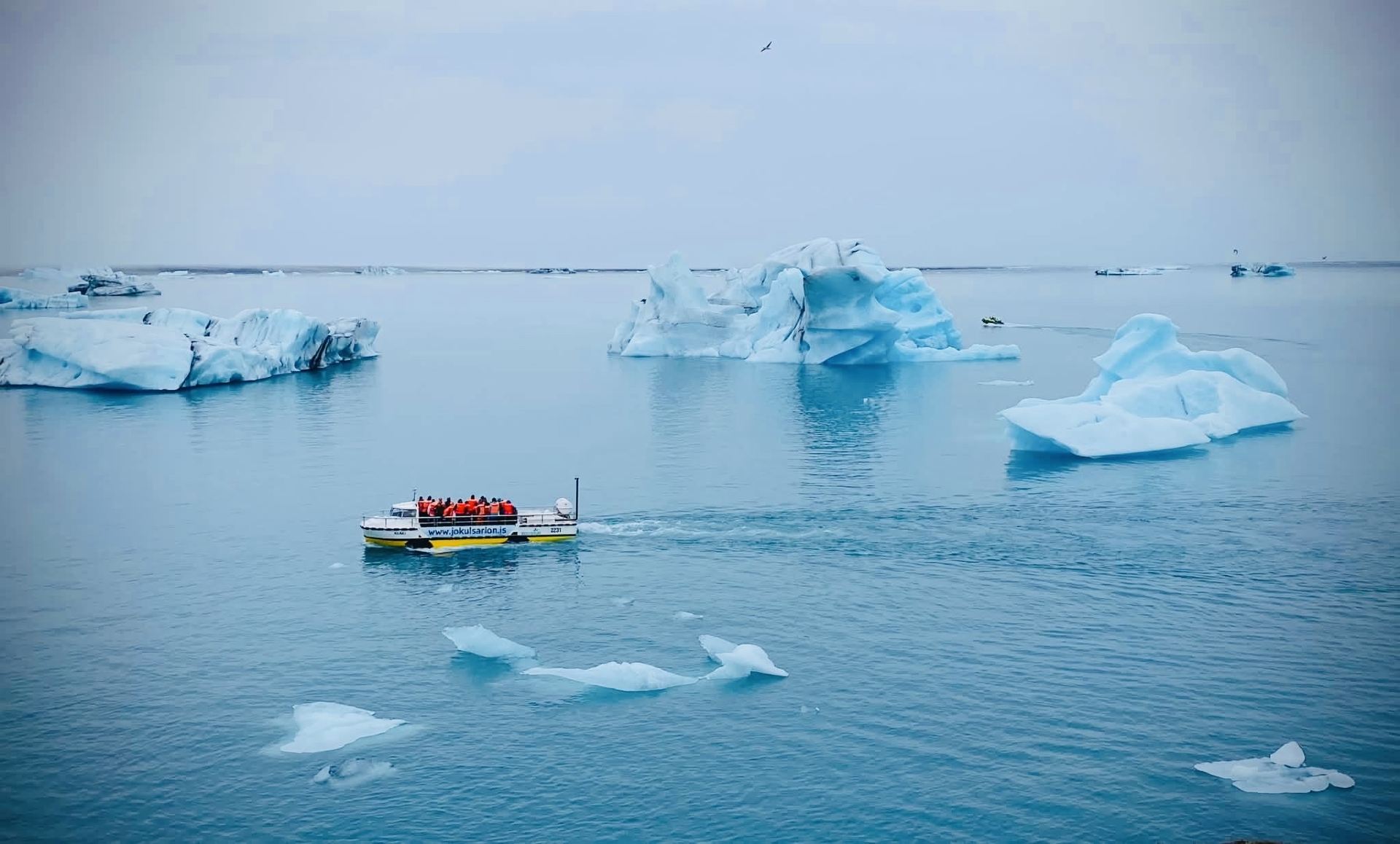 Where Icebergs Drift Into the Sea 🧊💙🇮🇸