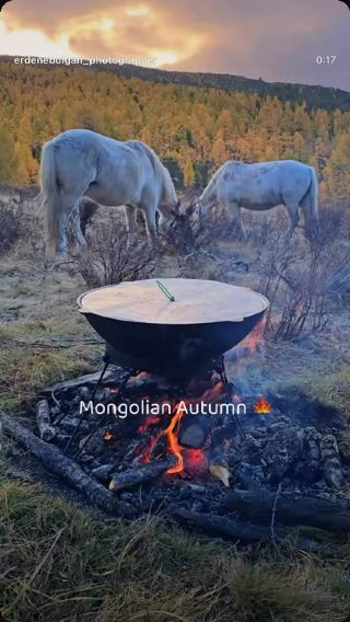 Autumn is truly a beautiful season 🤩

So effortlessly luxurious, as if it could never show off enough of its magnificent colors. And those occasional snowy showers that add even more magic to the air, with their own enchanting scent and charm… 🤩🍂