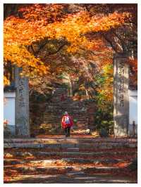 Japan In Autumn Is A Different Kind Of Magic 🍁🇯🇵