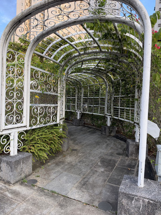 周末家庭放鬆推介遊點🌴🪴⛲️常寧街遊樂場🛝