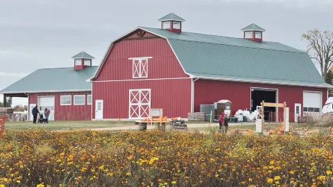 A Perfect Weekend Family Escape to Laura's Farm Stand! — traveler post in Simcoe County