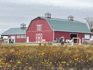 Great weekend farm destinations for families
